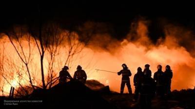 Спасатели ликвидировали лесной пожар под Воронежем