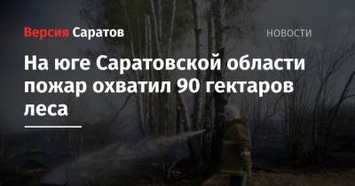 На юге Саратовской области пожар охватил 90 гектаров леса
