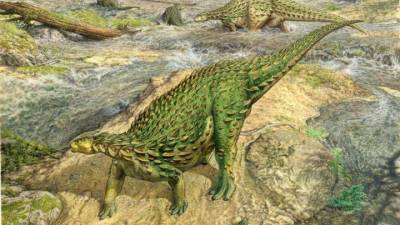 Первый полный скелет динозавра впервые раскрыл все свои секреты