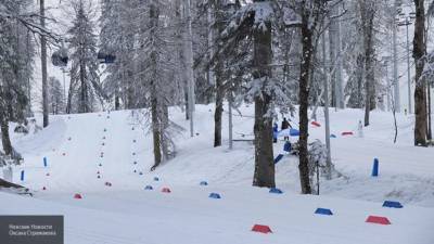 Призеры XIX Сурдлимпийских игр получат награду от правительства Петербурга