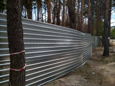Часть Северного леса в Воронеже огородили длинным забором