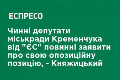 Действующие депутаты горсовета Кременчуга от "ЕС" должны заявить о своей оппозиционной позиции, - Княжицкий