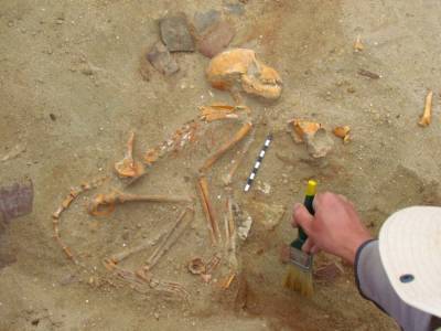 В Египте обнаружили кладбище домашних животных возрастом 2000 лет