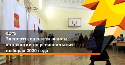 Эксперты оценили шансы оппозиции на региональных выборах 2020 года
