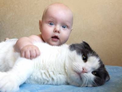 Кошка впервые увидела младенца: ее реакция покорила Сеть