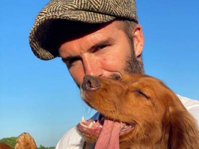 Виктория Бекхэм умилила поклонников снимком мужа с собакой