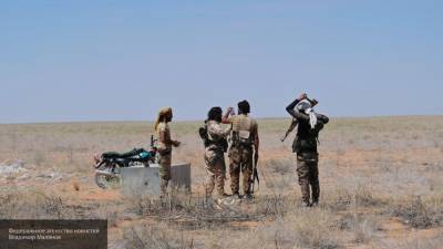 Ополченцы племени шайтат ищут террористов ИГИЛ в сирийской пустыне