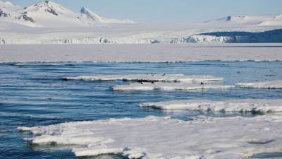 Ученые заявили, что скорость таяния Арктики была недооценена