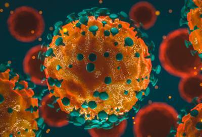 В Роспотребнадзоре назвали самое вероятное место заражения коронавирусом