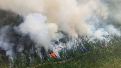 В Сибири планируют создать авиацентр для борьбы с лесными пожарами
