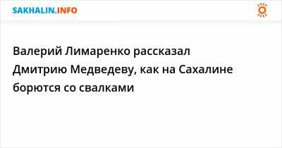 Валерий Лимаренко рассказал Дмитрию Медведеву, как на Сахалине борются со свалками
