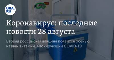 Коронавирус: последние новости 28 августа. Вторая российская вакцина появится осенью, назван витамин, блокирующий COVID-19