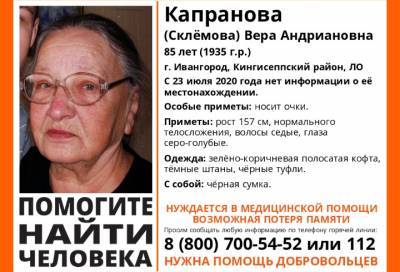 В Ленобласти больше месяца ищут 85-летнюю жительницу Ивангорода