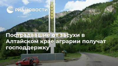 Пострадавшие от засухи в Алтайском крае аграрии получат господдержку