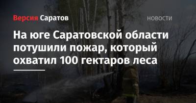 На юге Саратовской области потушили пожар, который охватил 100 гектаров леса