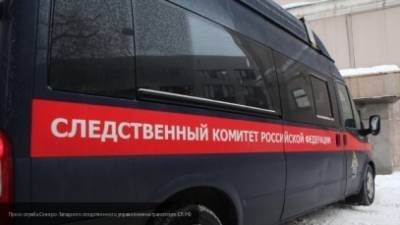 СК РФ установил причастных к убийству девочки под Иркутском в 2007 году