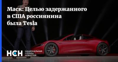 Маск: Целью задержанного в США россиянина была Tesla