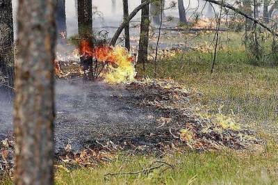 В большинстве областей Украины объявлен чрезвычайный уровень пожарной опасности, - ГСЧС