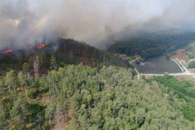 Лесной пожар на площади около 100 га локализован в Саратовской области