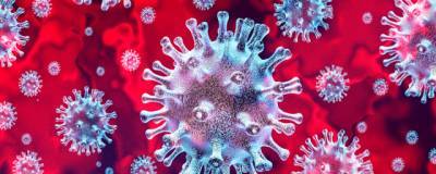 За сутки в России выявили 4 829 заболевших коронавирусом