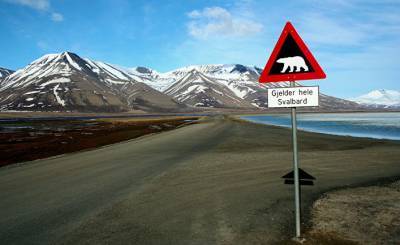 NRK (Норвегия): на Шпицбергене медведь убил туриста