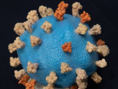 Исследователи рассказали о новом способе лечения коронавируса