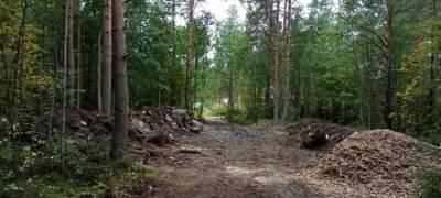 Парк в отдаленном микрорайоне Петрозаводска подготавливают к благоустройству (ФОТО)