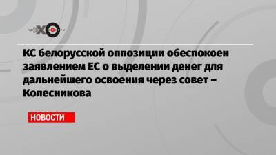 КС белорусской оппозиции обеспокоен заявлением ЕС о выделении денег для дальнейшего освоения через совет – Колесникова
