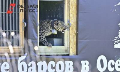 В Северной Осетии выпустили двух переднеазиатских леопардов