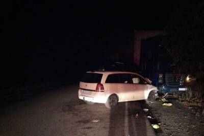 В Николаевской области произошло масштабное ДТП с участием грузовика, среди пострадавших пятеро детей