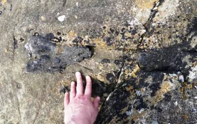 Шотландка во время пробежки нашла кость динозавра