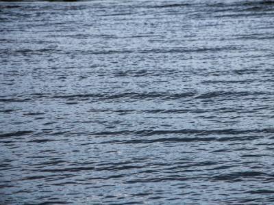 На Рыбинском водохранилище тонет сухогруз: два человека пропали