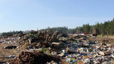 В Томской области суд обязал чиновников ликвидировать шесть свалок в лесах