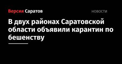 В двух районах Саратовской области объявили карантин по бешенству
