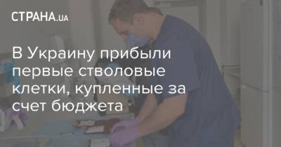 В Украину прибыли первые стволовые клетки, купленные за счет бюджета