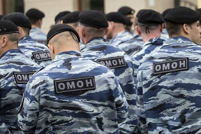 Песков назвал «достаточно разумным» число правоохранителей РФ для Минска