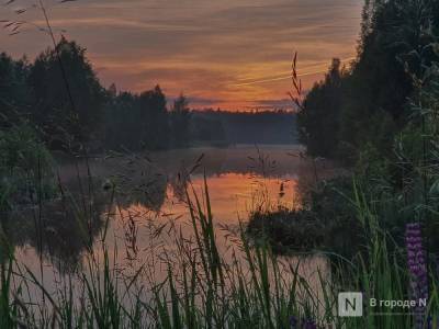 Первая неделя сентября в Нижегородской области будет теплой, но дождливой