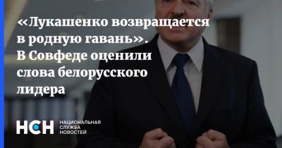«Лукашенко возвращается в родную гавань». В Совфеде оценили слова белорусского лидера
