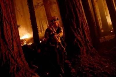 Калифорния как в аду: пожарные зафиксировали более 560 очагов возгорания (1 фото)