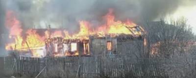 В Оренбургской области из-за природного пожара сгорело 12 построек