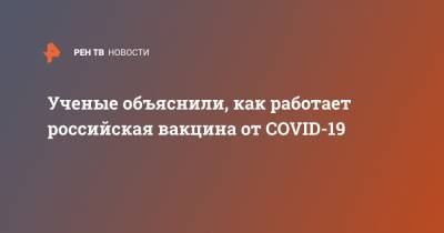 Ученые объяснили, как работает российская вакцина от COVID-19