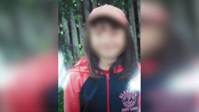 "Найдена, погибла": после трехдневных поисков девочку обнаружили убитой возле дома