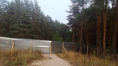 Воронежцы выступили против установки забора и вырубки деревьев в парке «Северный лес»