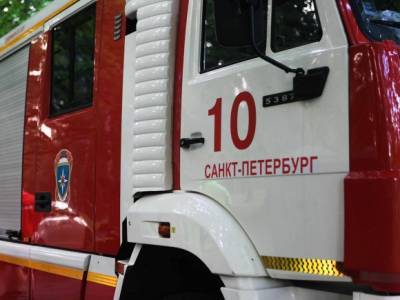 В задымленной квартире в Петербурге пожарные обнаружили неадекватных взрослых и истощенных детей