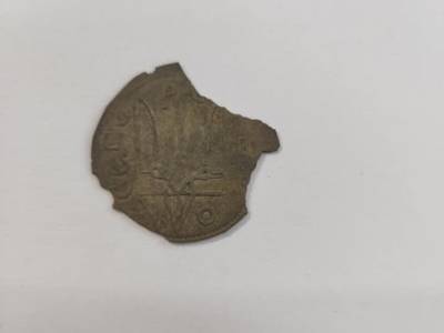 «Сенсационная находка»: в Житомирской области найдены монеты времен Святополка