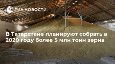 В Татарстане планируют собрать в 2020 году более 5 млн тонн зерна