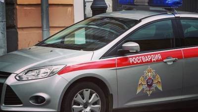 В Ульяновске сотрудники Росгвардии задержали нетрезвого водителя