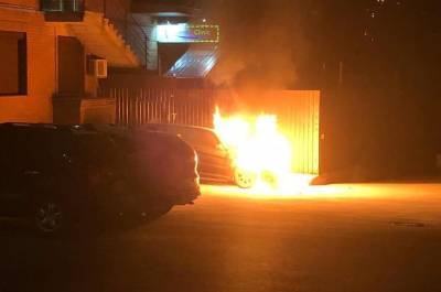 В Киеве подожгли автомобиль нардепа Гео Лероса, видео