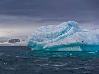 По мере таяния арктических льдов, корабли устремляются в полярные воды, загрязняя их