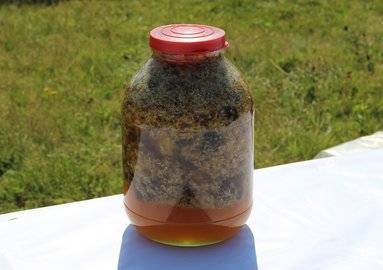 В Уфе рассказали об опасности мёда